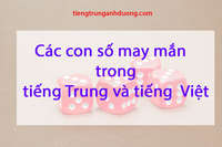 Những con số may mắn trong tiếng Trung và tiếng Việt Những con số may mắn trong tiếng Trung và tiếng Việt